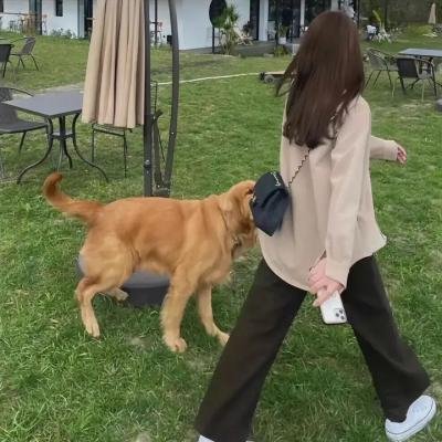 疯狂情海